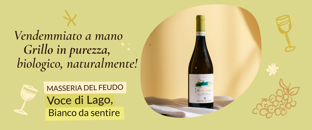 Le nostre offerte