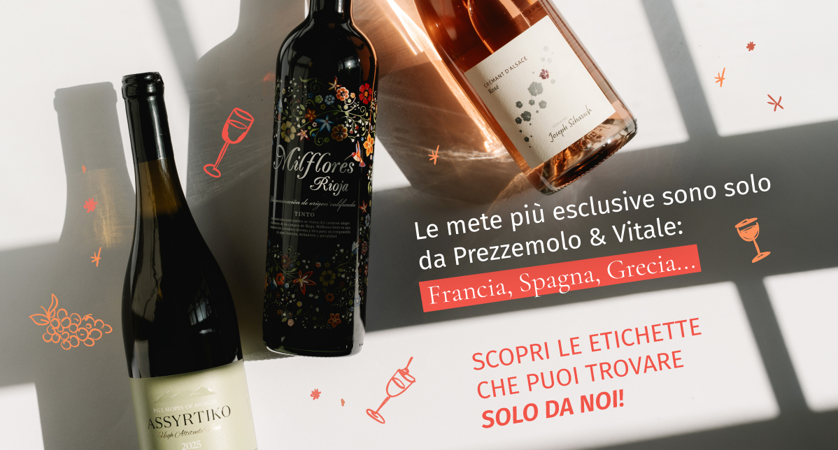 Le nostre offerte
