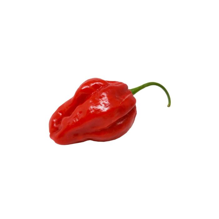 peperoncino_fresco_habanero_red_01