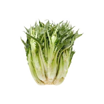 0054618