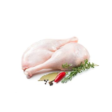 oca-coscia_1_