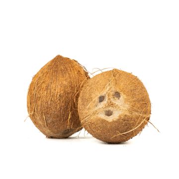 000053937-le-selezioni-p_v-cocco