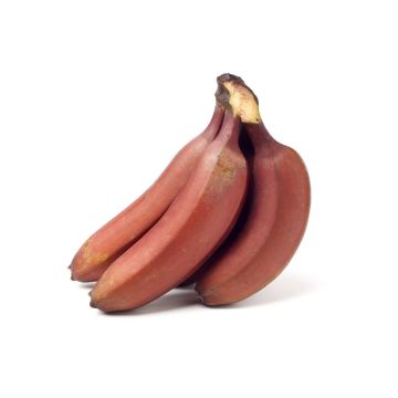 0096861