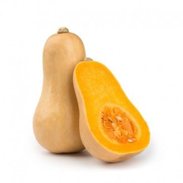 zucca-butternut-prodotto-biologico-prezzo-al-2-87-1-pz-1300-gr-c-big-1659-120
