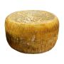 p_v_pecorino_san_michele