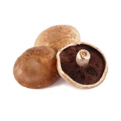 Le selezioni P&V Funghi a cappella