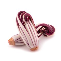 Le selezioni P&V Radicchio tardivo a fili