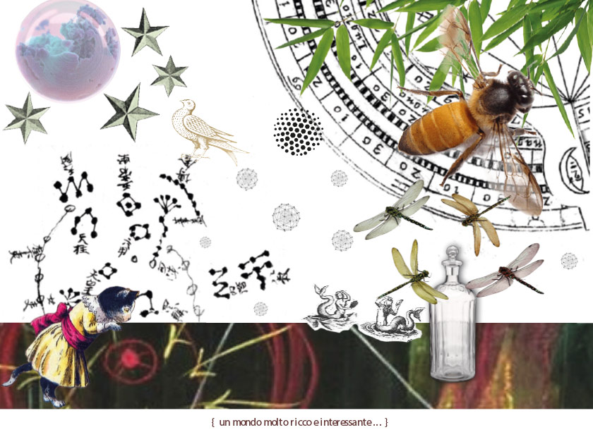 Il biodinamico è biologico - quando invertendo l'ordine dei fattori il risultato non cambia