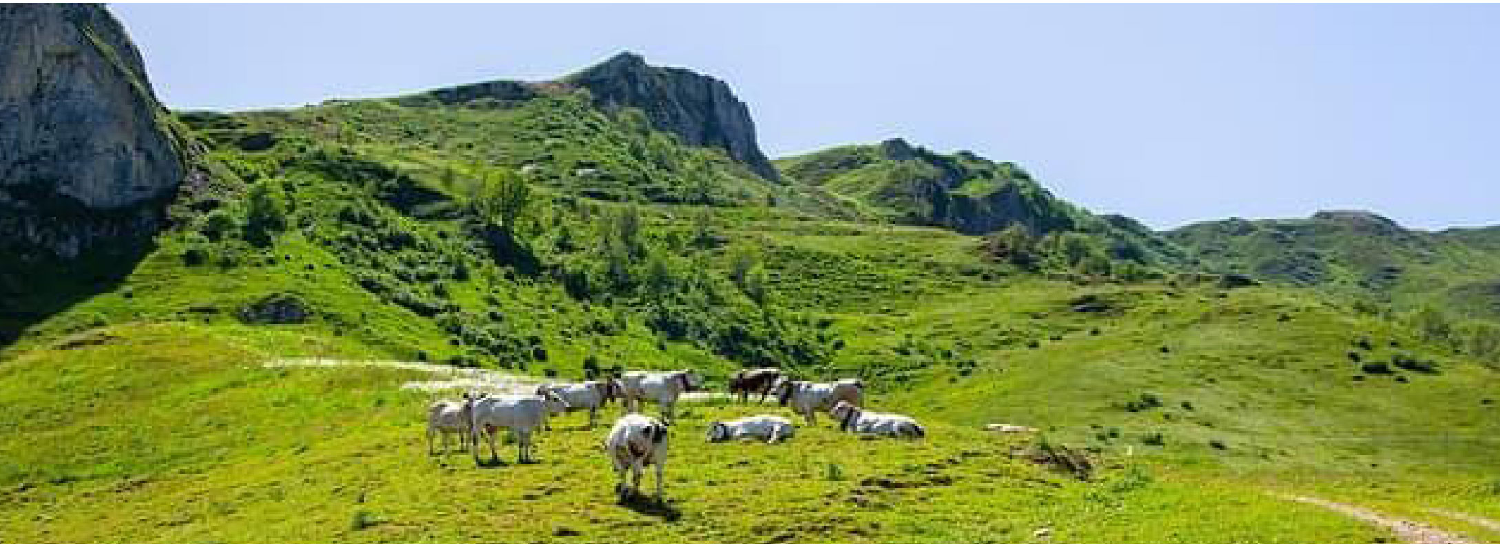 La Granda, bellezza!